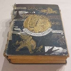 The Wild Beast Birds and Reptiles of the World: The Story of their Capture